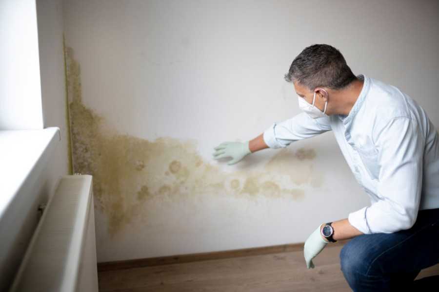 Moisissure dans l'appartement - quand ne peut-on pas payer le loyer ?