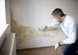 Présence de moisissure dans le logement - dans quels cas peut-on refuser de verser le loyer ?