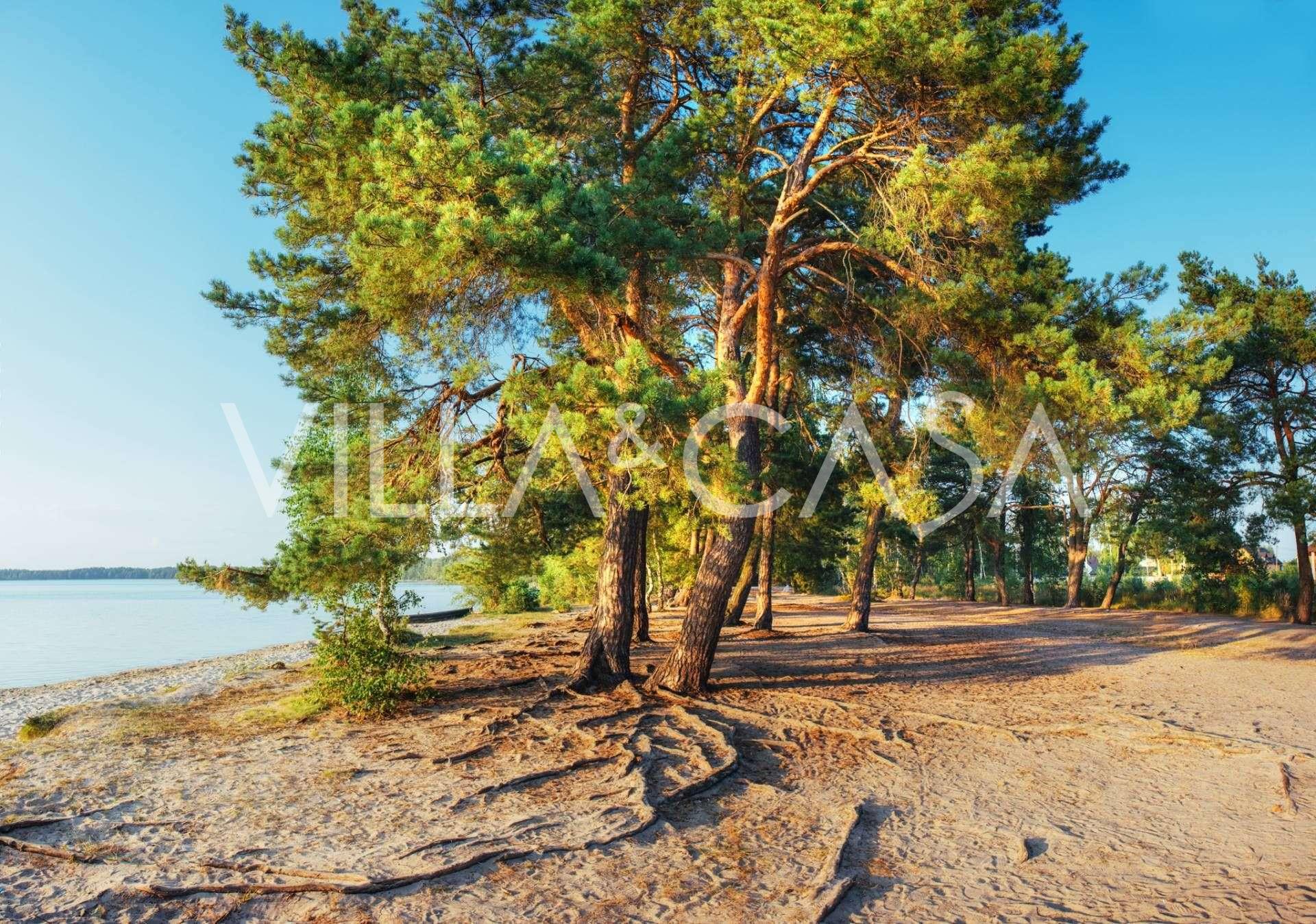 Camping en bord de mer en Toscane à vendre