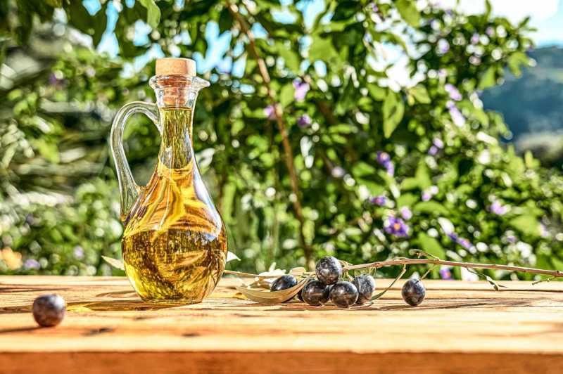 Production d'huile d'olive en Ligurie