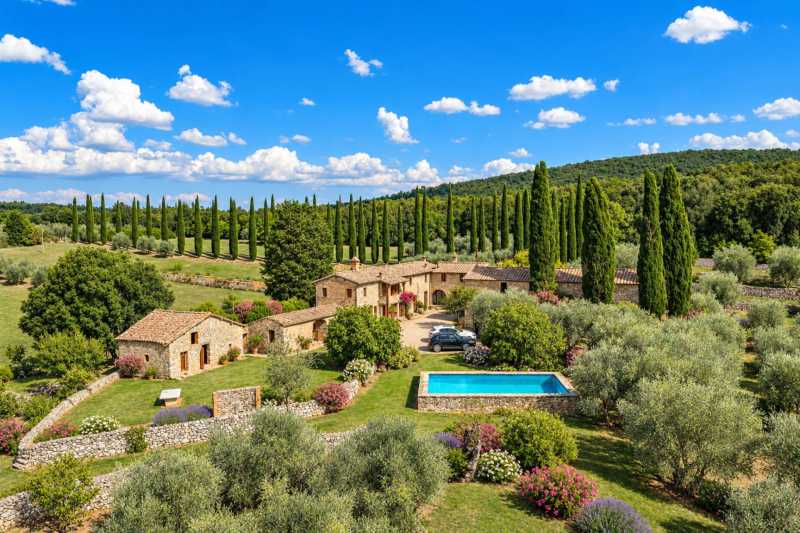 Terrain à vendre avec des oliviers près de Sienne, Toscane