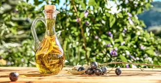 Production d'huile d'olive en Ligurie