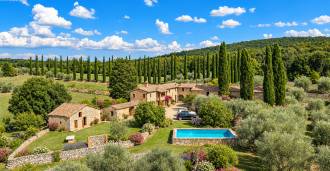Terrain à vendre avec des oliviers près de Sienne, Toscane